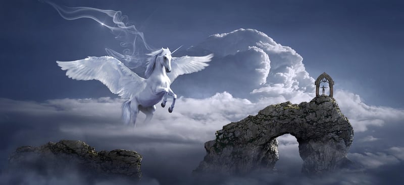 Unicorn Carriage Ride